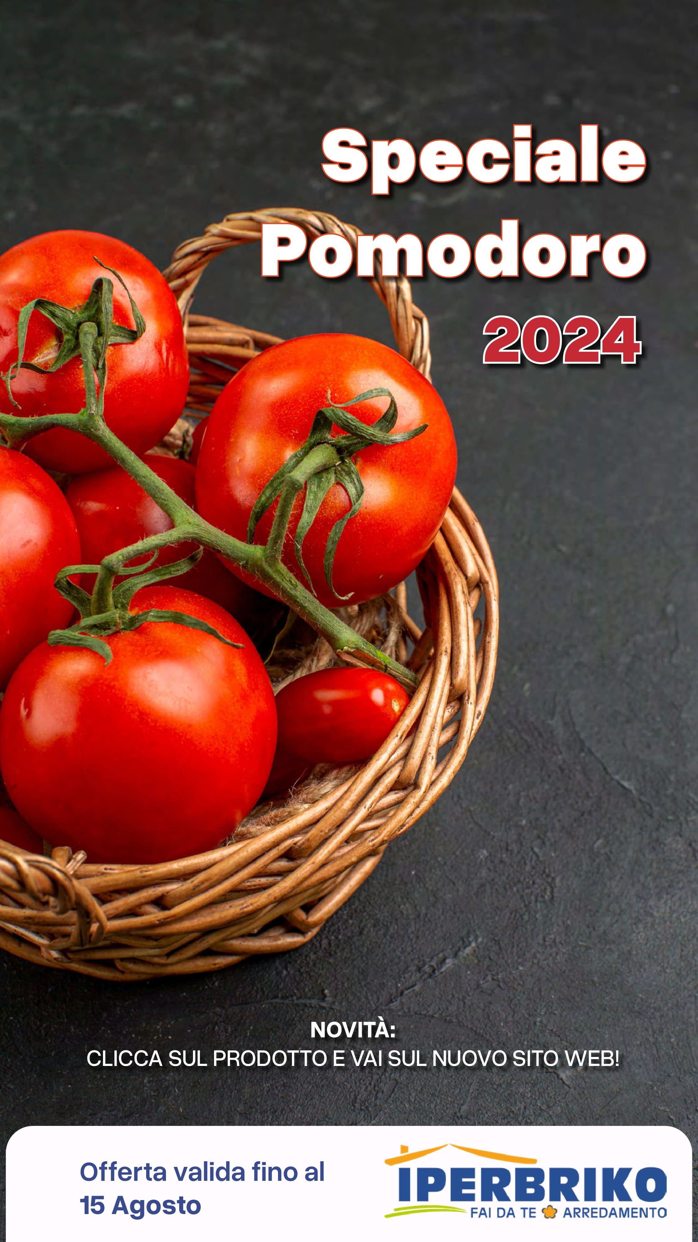 Speciale Pomodori 2024